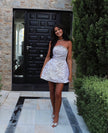 The Ari Mini