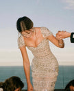 The Stardust Gown