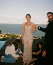 The Stardust Gown